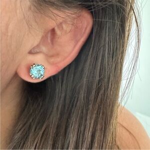 Elegant Blue Stud Earrings